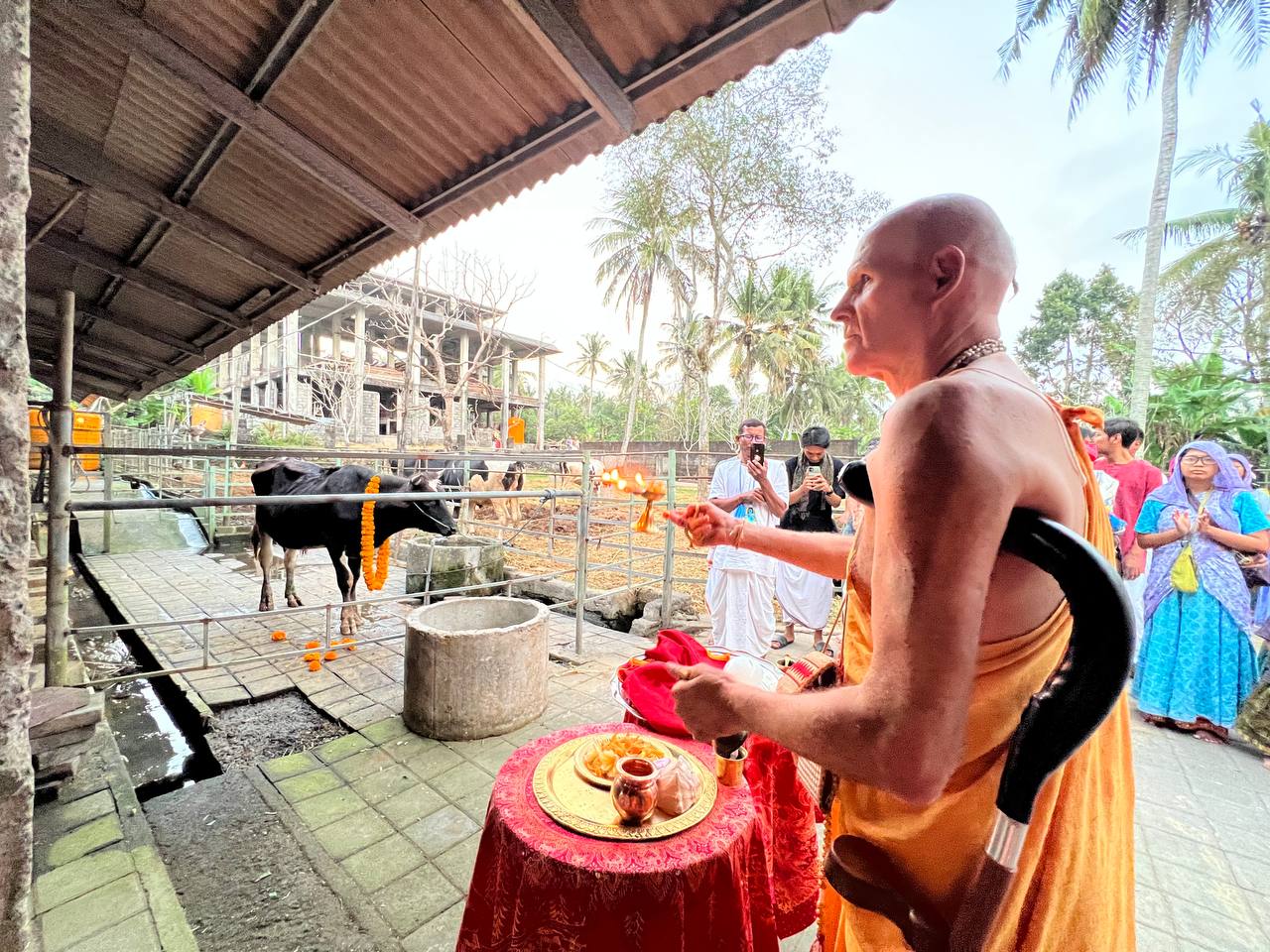 photo 2023-06-17 17-48-12