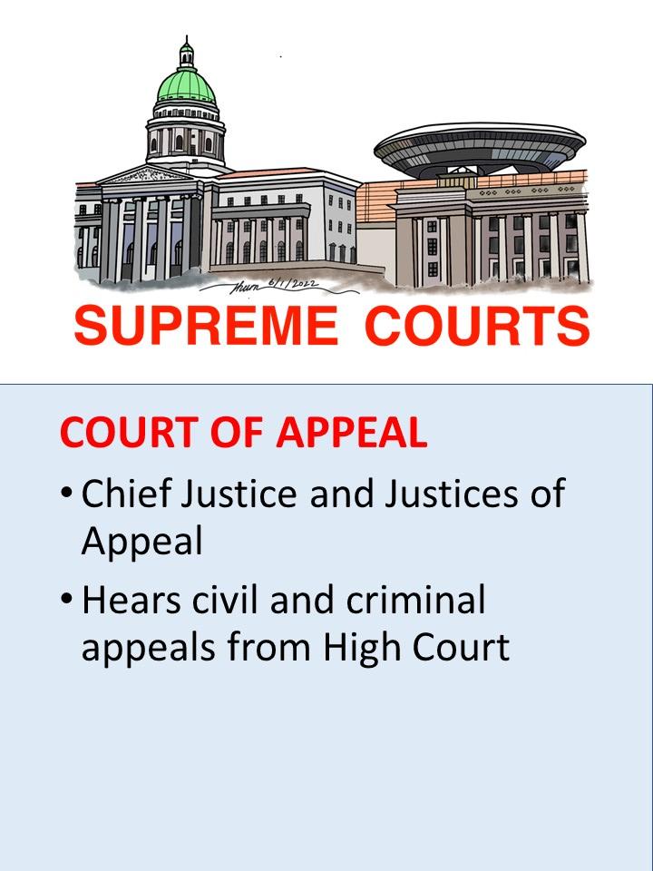 SIMGE-BizLaw-Lesson02-CourtAppeal