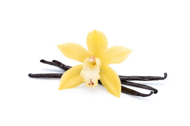 istockphoto-1207547979-612x612