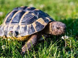 34c3f18d-0ff4-4c8f-9c1c-0d7c8c596644