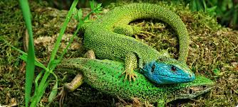 35effcd5-21d9-4374-a474-279f141e37d3