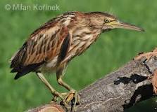 353e075e-e123-4223-8fb5-f4e64a8eb378