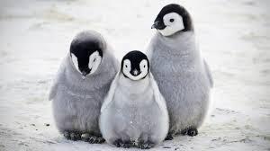 3548a876-3abf-4142-826d-7b291144aac2