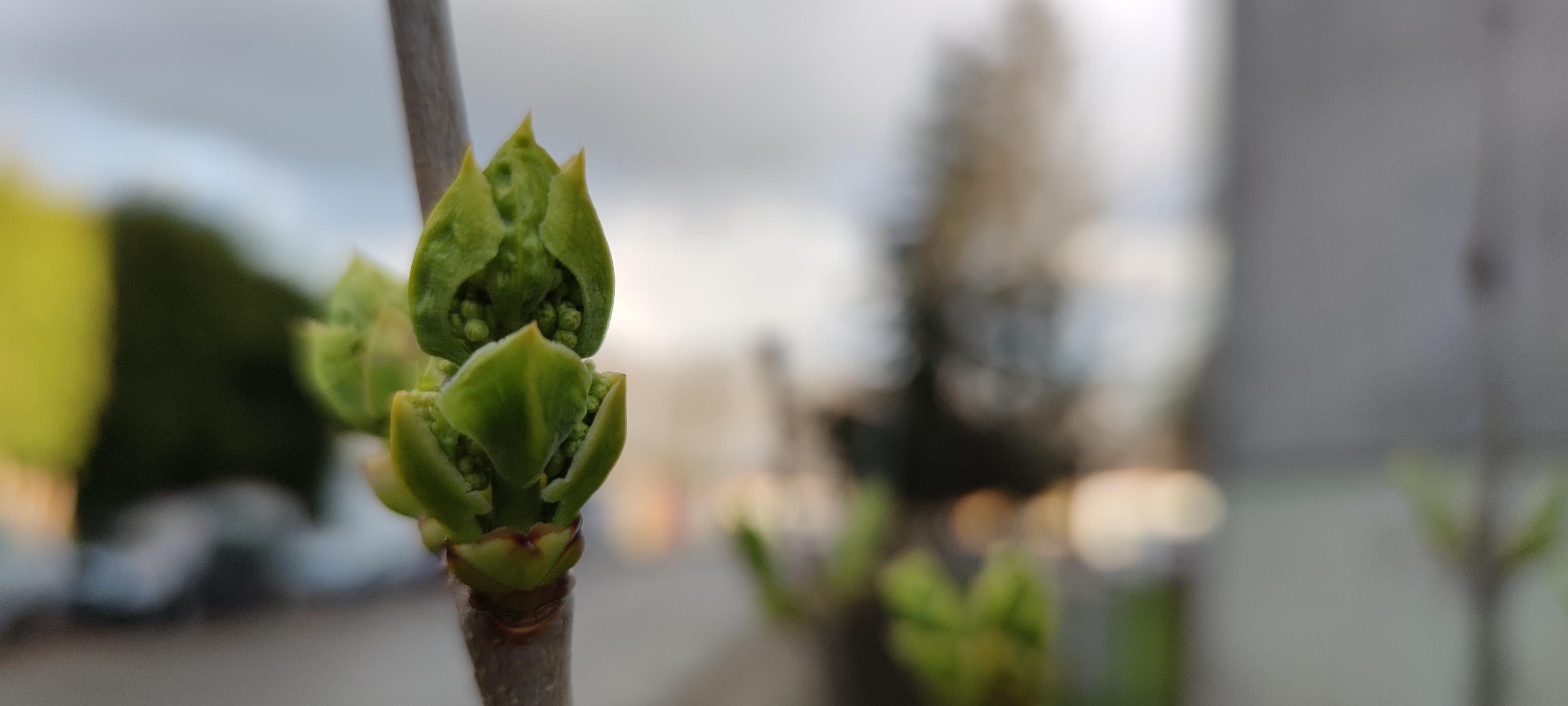 16178112401618687364312335725956