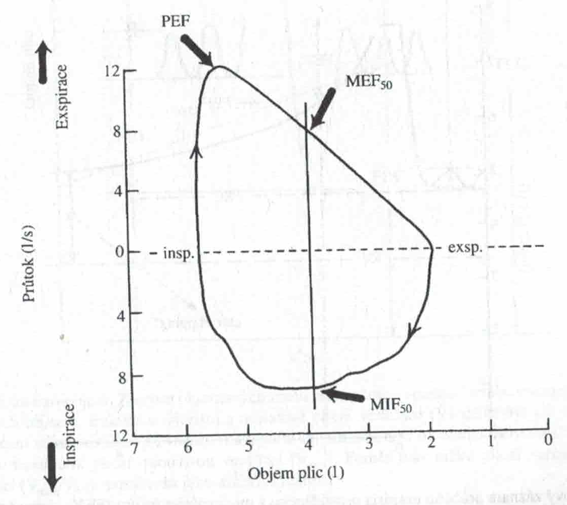 Skener 20231220 (25)