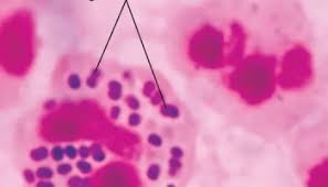 371645be-b35c-45f9-9529-f9bdd2873400