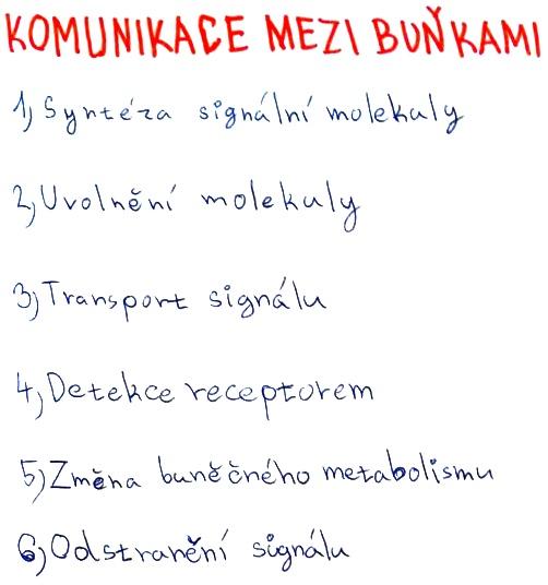Komunikace mezi buňkami