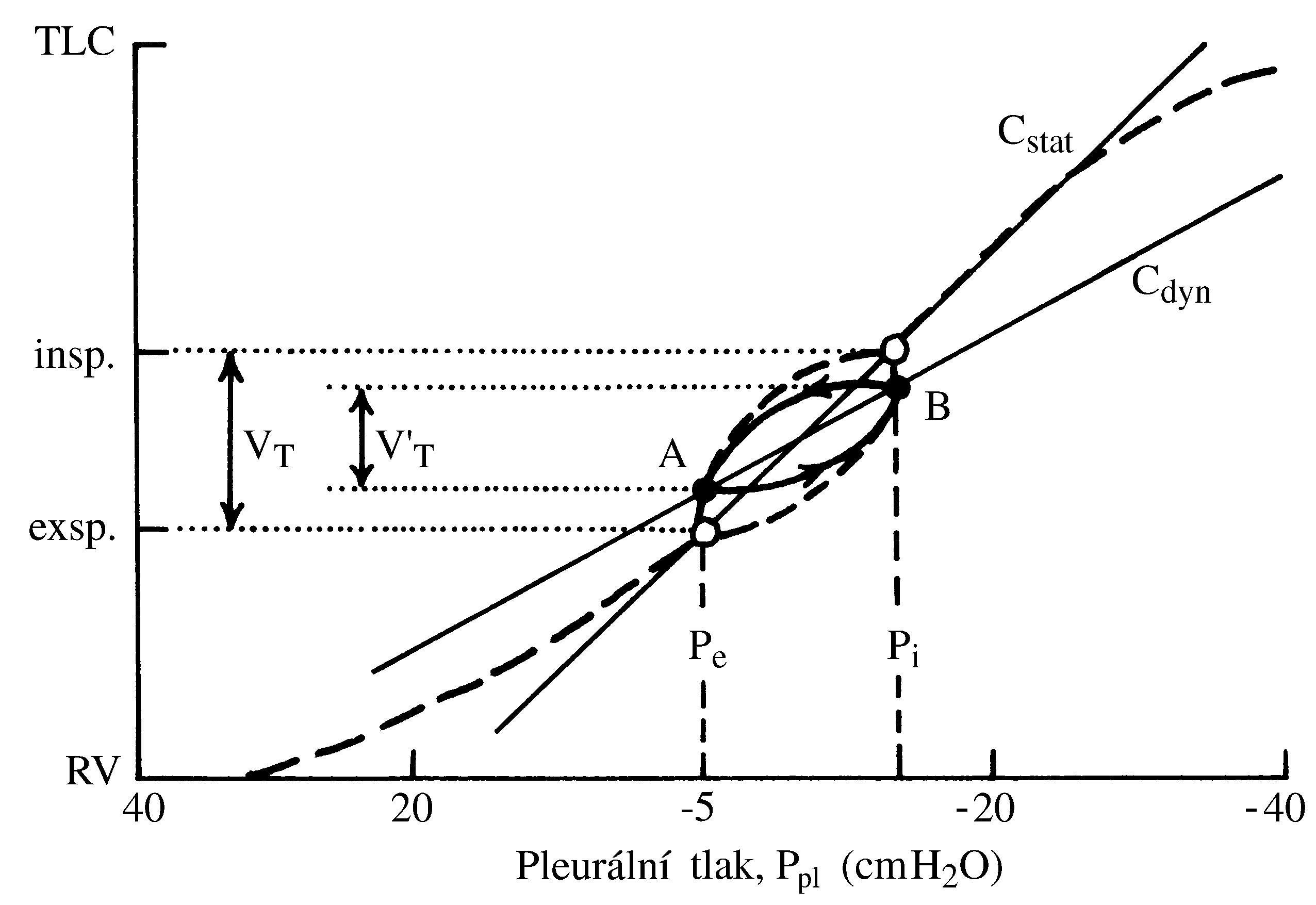 2021 Patologicka fyzio 1 Page 322 Image 0001
