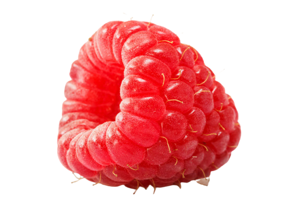 9aa9c67e248c718-removebg-preview