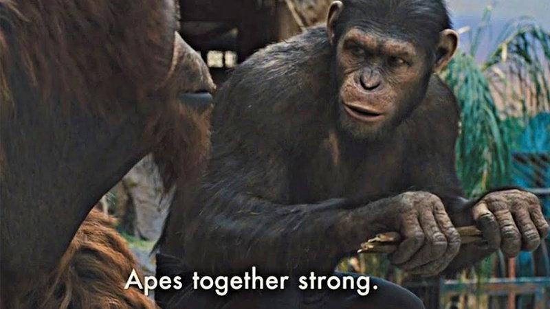 apes
