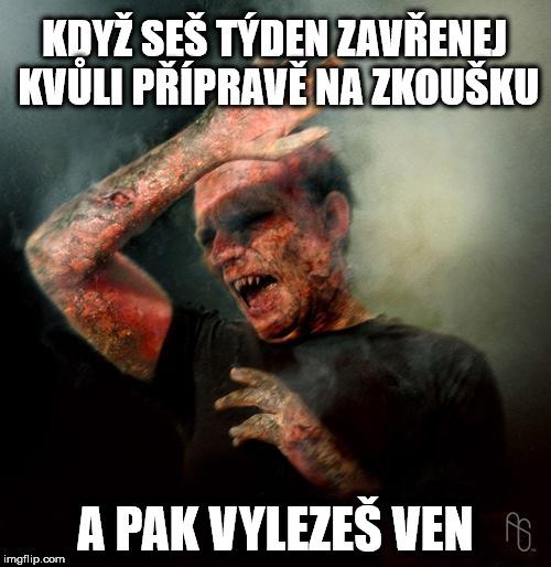 na světlo po zkouškovém