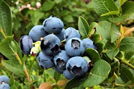 39ad5d52-485f-4115-aca4-2d5ea9cc01dc