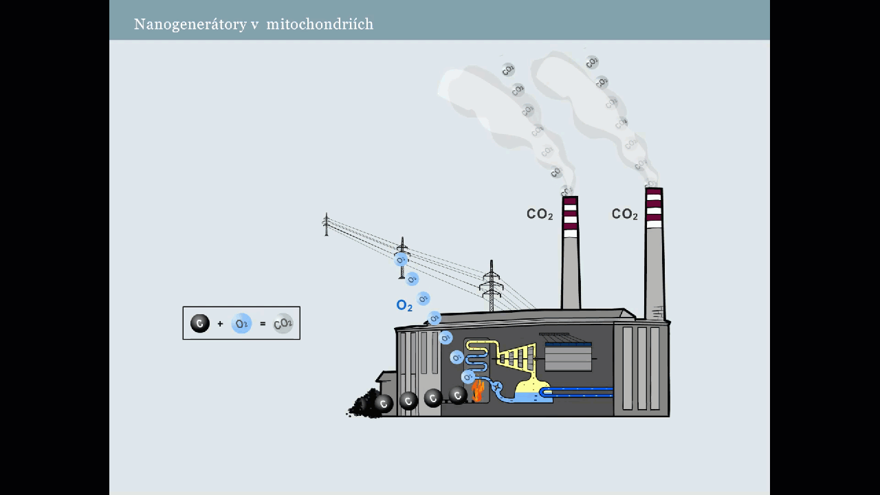 4C367F67-6C0A-47DE-8E41-439AA4DA1089