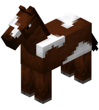 Brown Horse with White Field