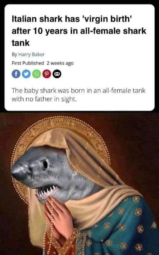 305310223 5658273007545634 2873372584593407077 n