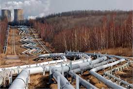 3ac5e268-5f4b-49cd-934a-e8b4f215b002