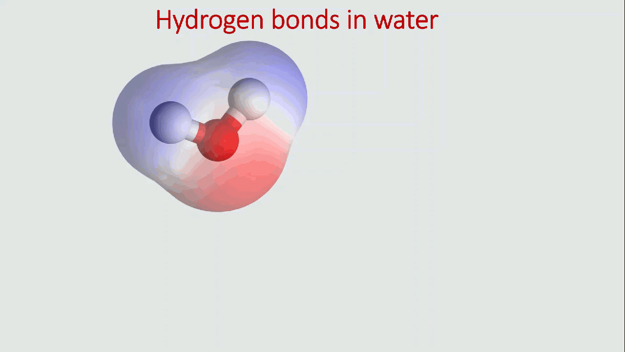 polární molekula vody