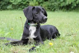 3b6a73b4-4c62-4417-bd58-94b8d81790d2