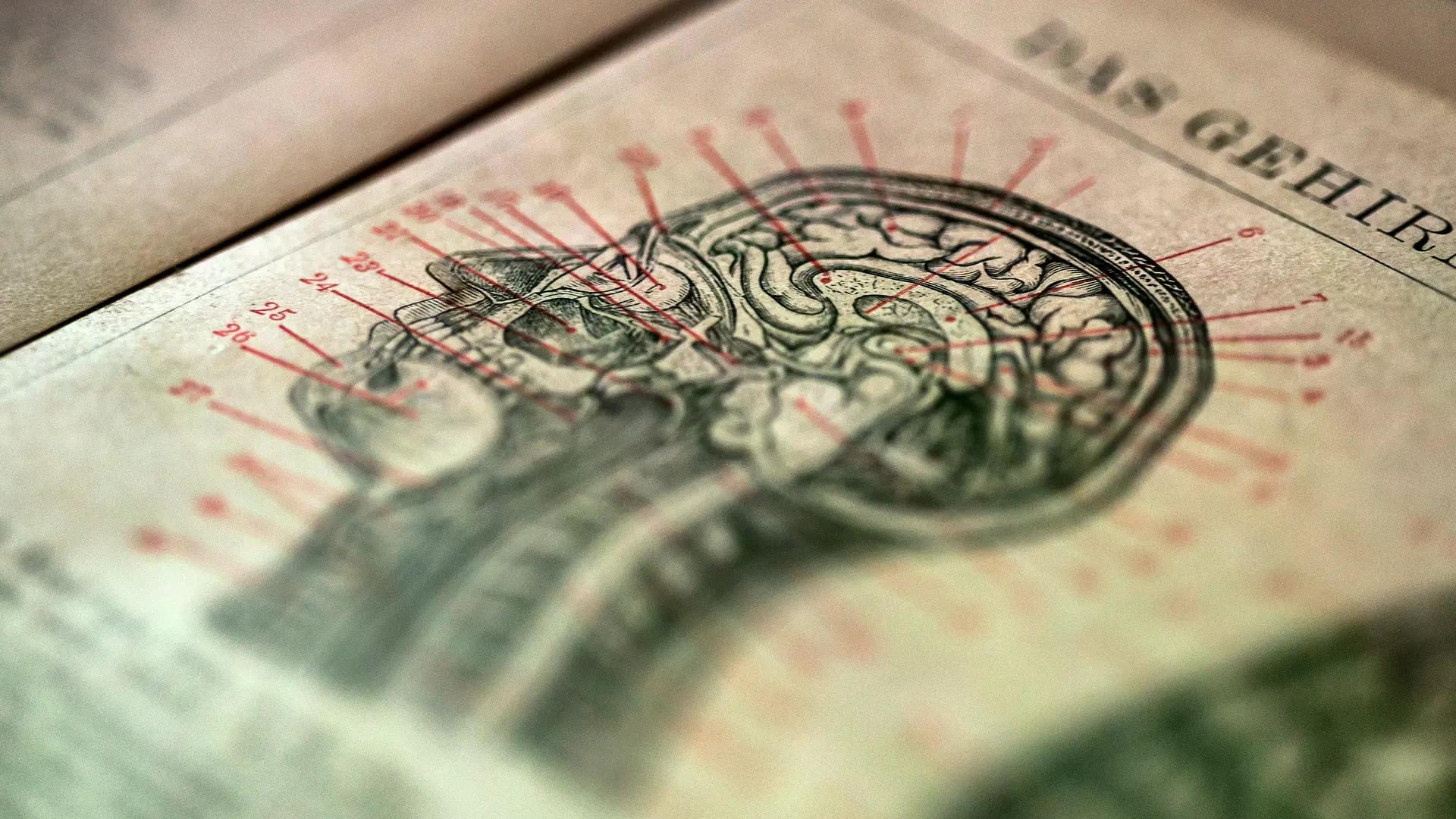 iStock-637987772 Nikola Nastasic