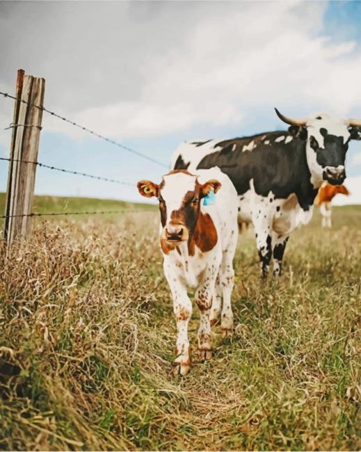 cows-paint-by-numbers