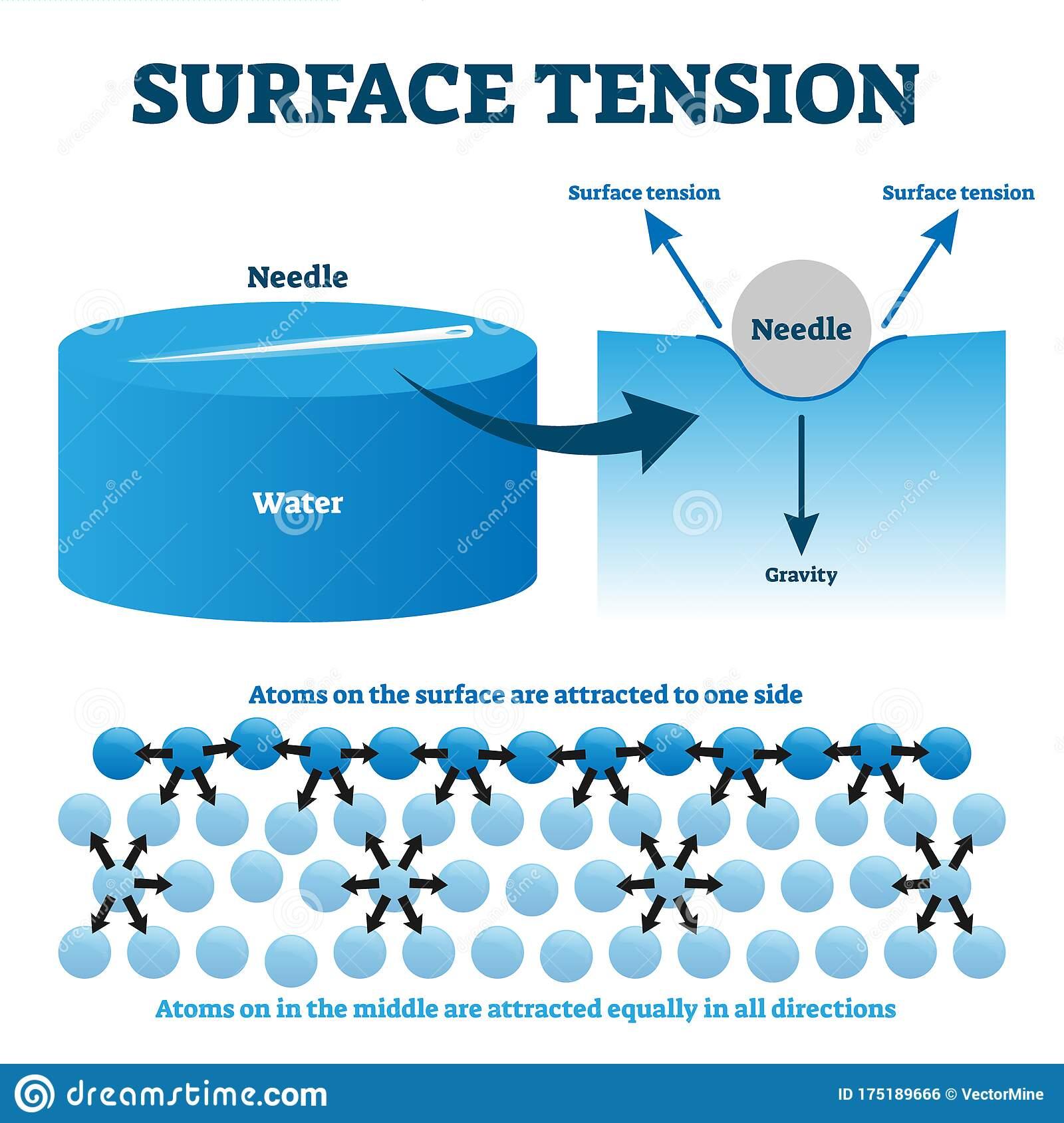 surface-tension-explanation-vector-illustration-diagram-physics-educational-information-scheme-needle-liquid-water-atoms-175189666