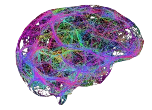 brain-removebg-preview