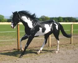 010945cd-346a-442b-b163-76c594c5b891