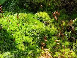 0172e5e0-304b-49c1-9964-fdf68f712f29