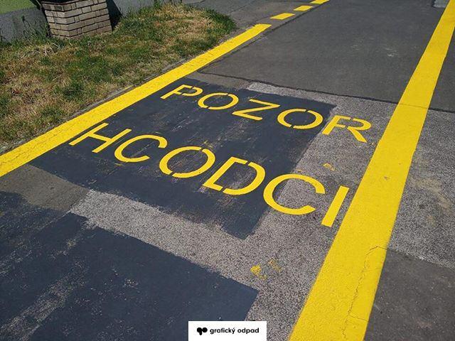 117313665 2025538790914491 5030168768230620254 n