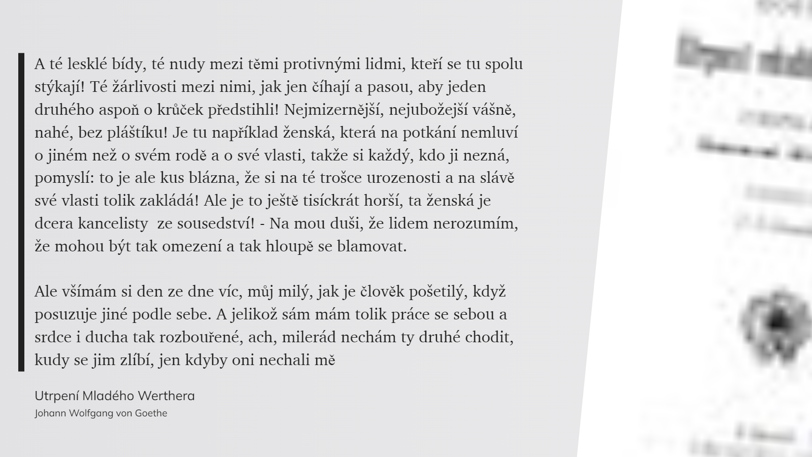 Utrpení Mladého Werthera (32)