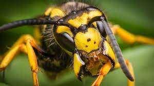 03d88140-994a-41ca-93de-6ad0cc9e8085