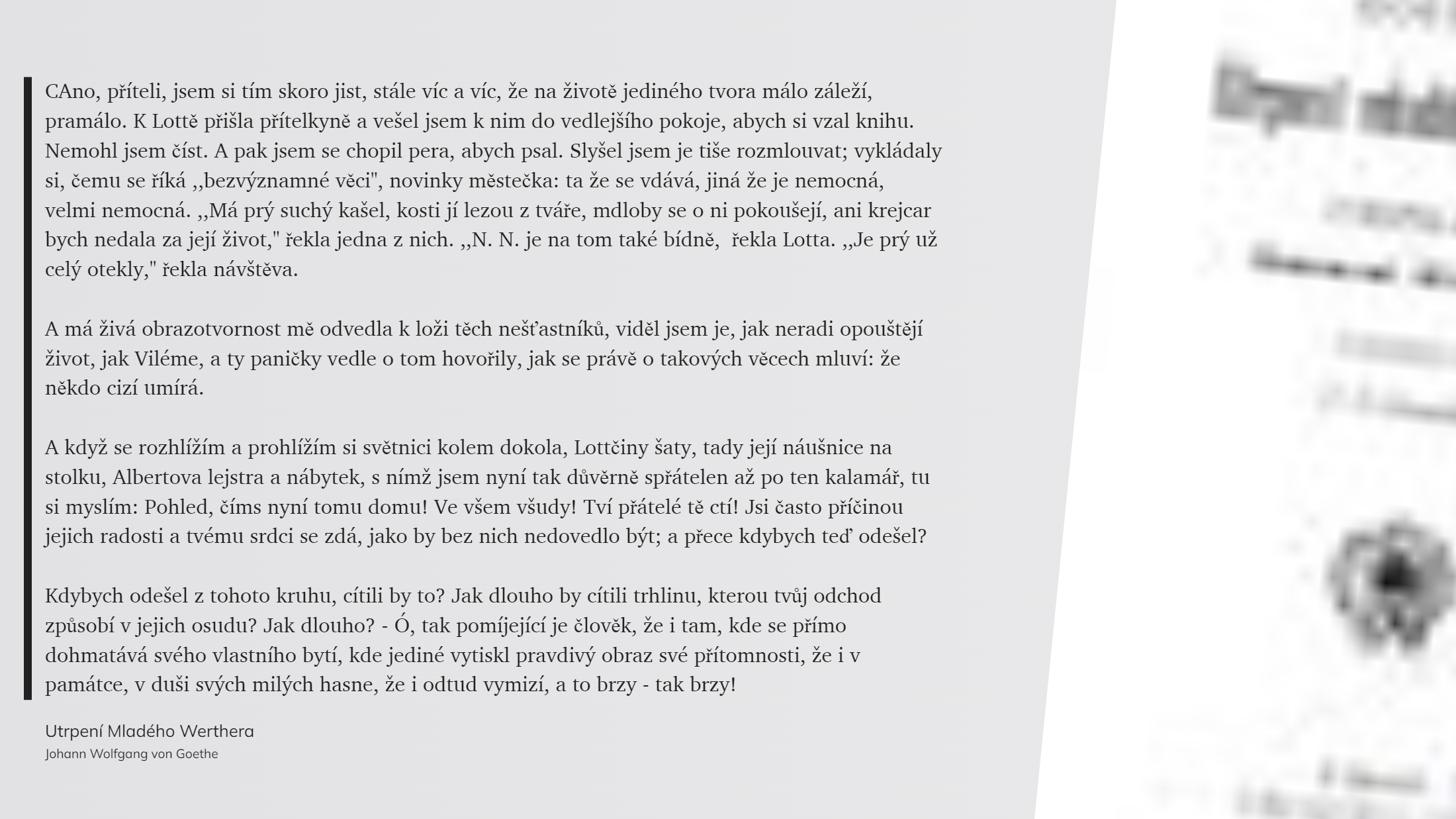 Utrpení Mladého Werthera (42)