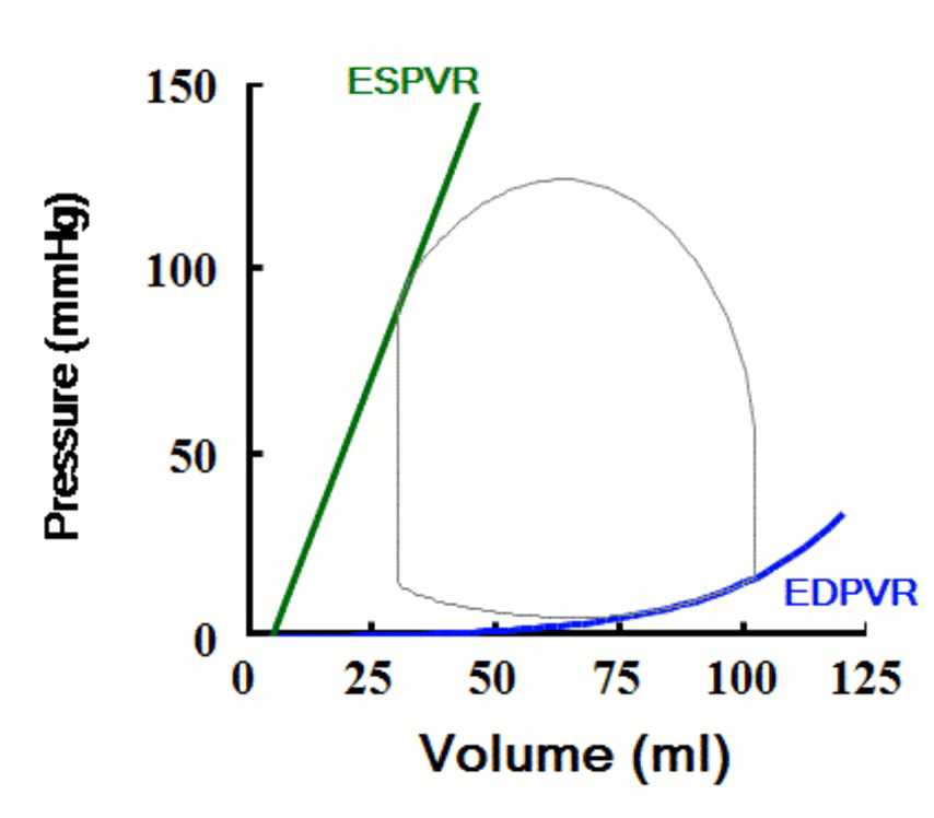 9DB3DD00-E348-4458-B652-3FBA8FA02338