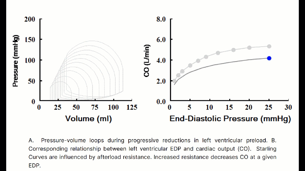 560F8CFA-492F-4988-AD22-29A15DAB607A
