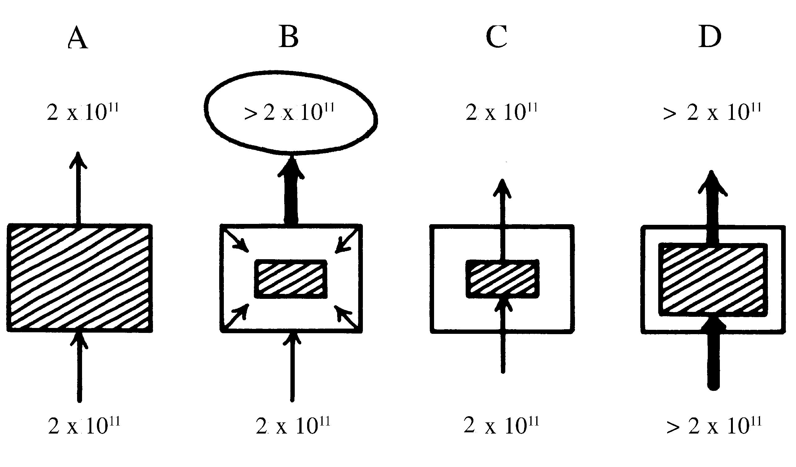 2021 Patologicka fyzio 1 Page 054 Image 0002