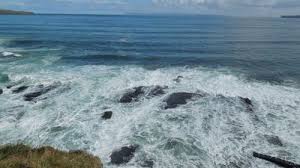 05a1749e-6b81-47ca-ad02-6a7a5e2e0325