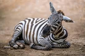 06df3aa1-8bb2-4ce4-9d58-be5666c3528e