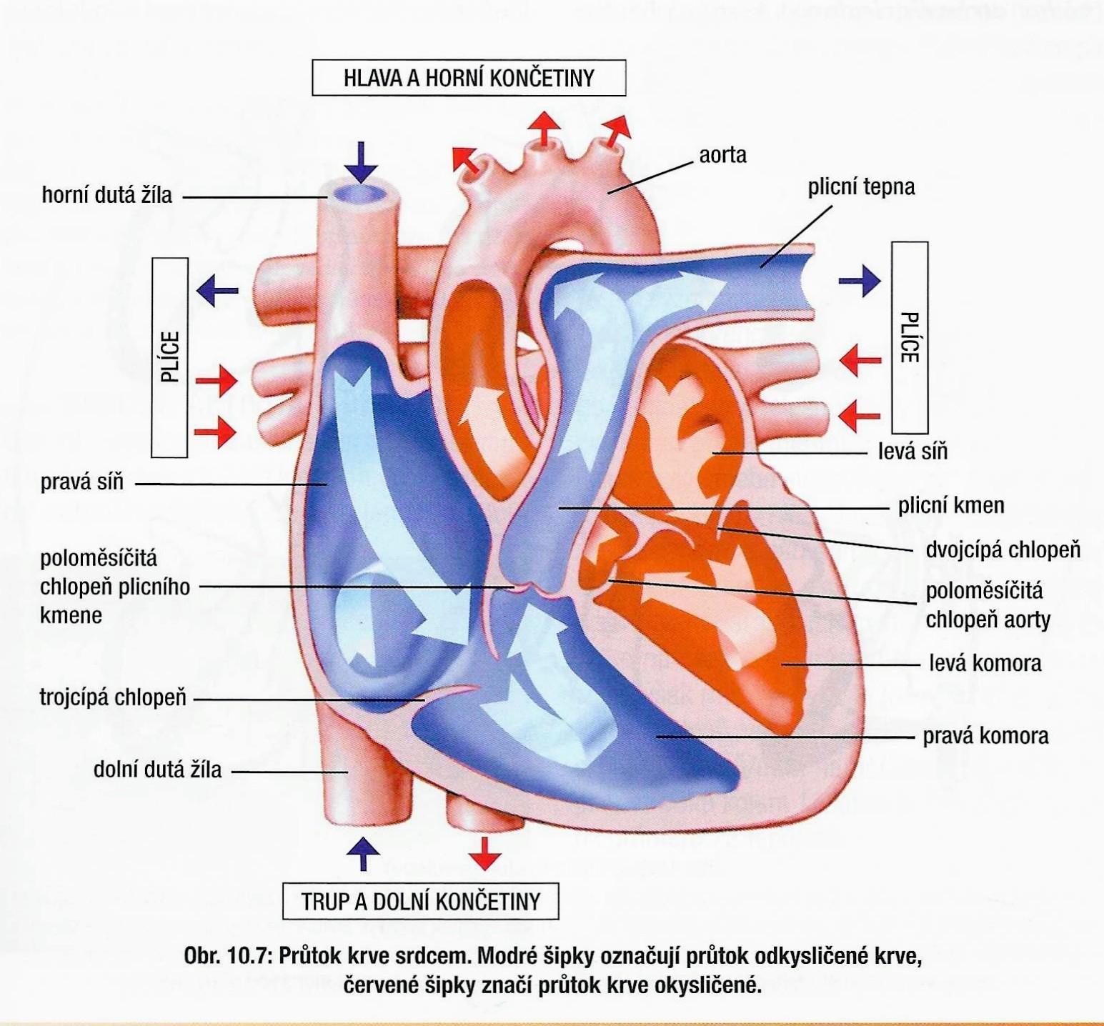 2022-10-20 100149 2 (1)