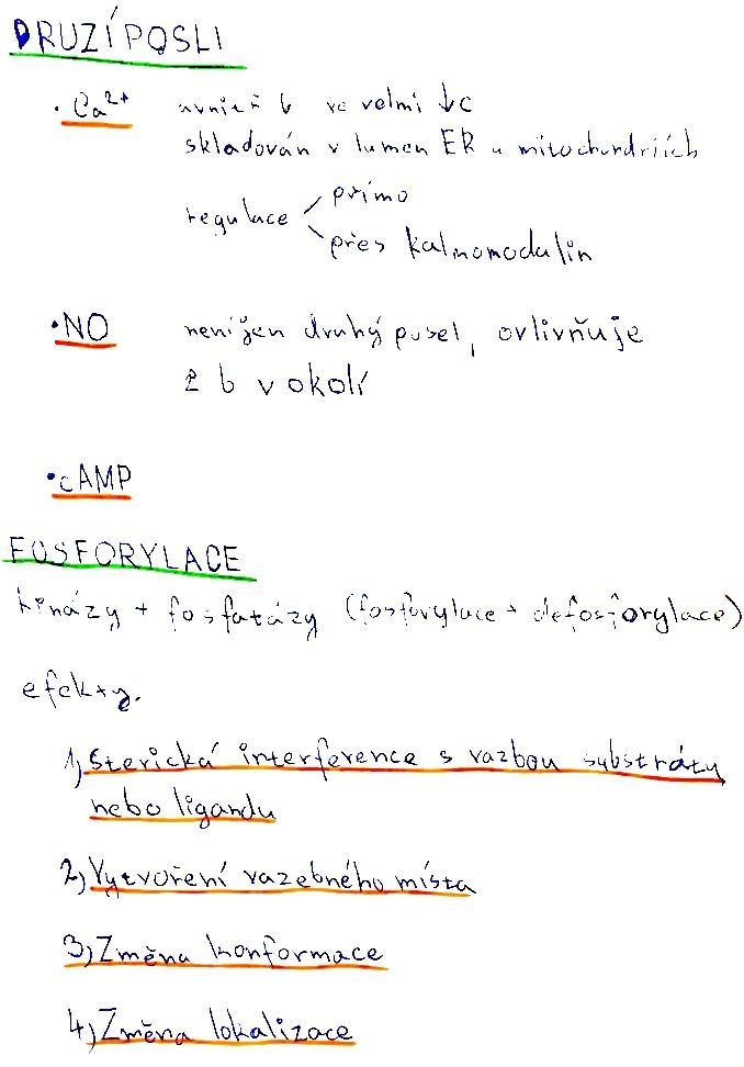 Intracelulární přenos 2
