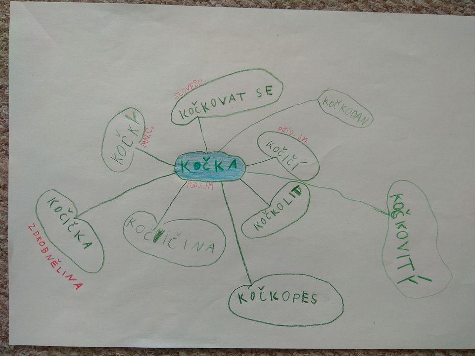 89035961 1368938379965066 6378242308206231552 o