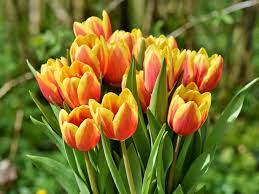 08044194-ce8a-407e-8f74-2ac984259987