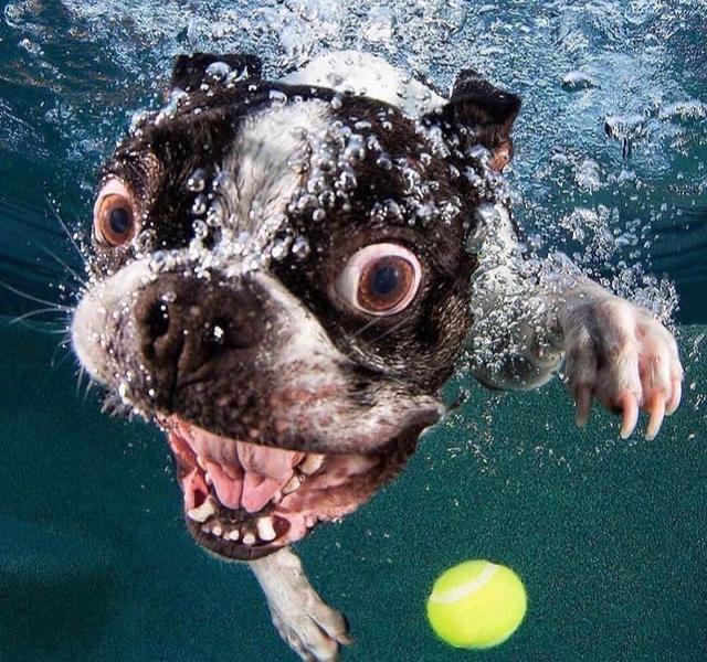 A711098D-2876-4491-97CE-F79432A7F04D