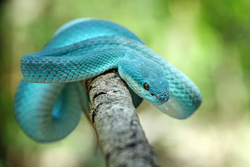 istockphoto-1196014872-170667a