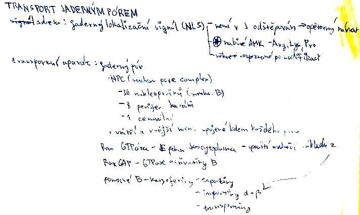 Transport jaderným pórem