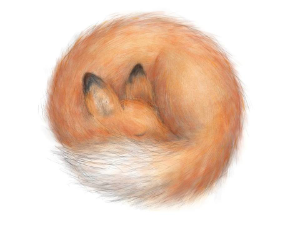 46880959 2733090683583082 3704489449774645248 n