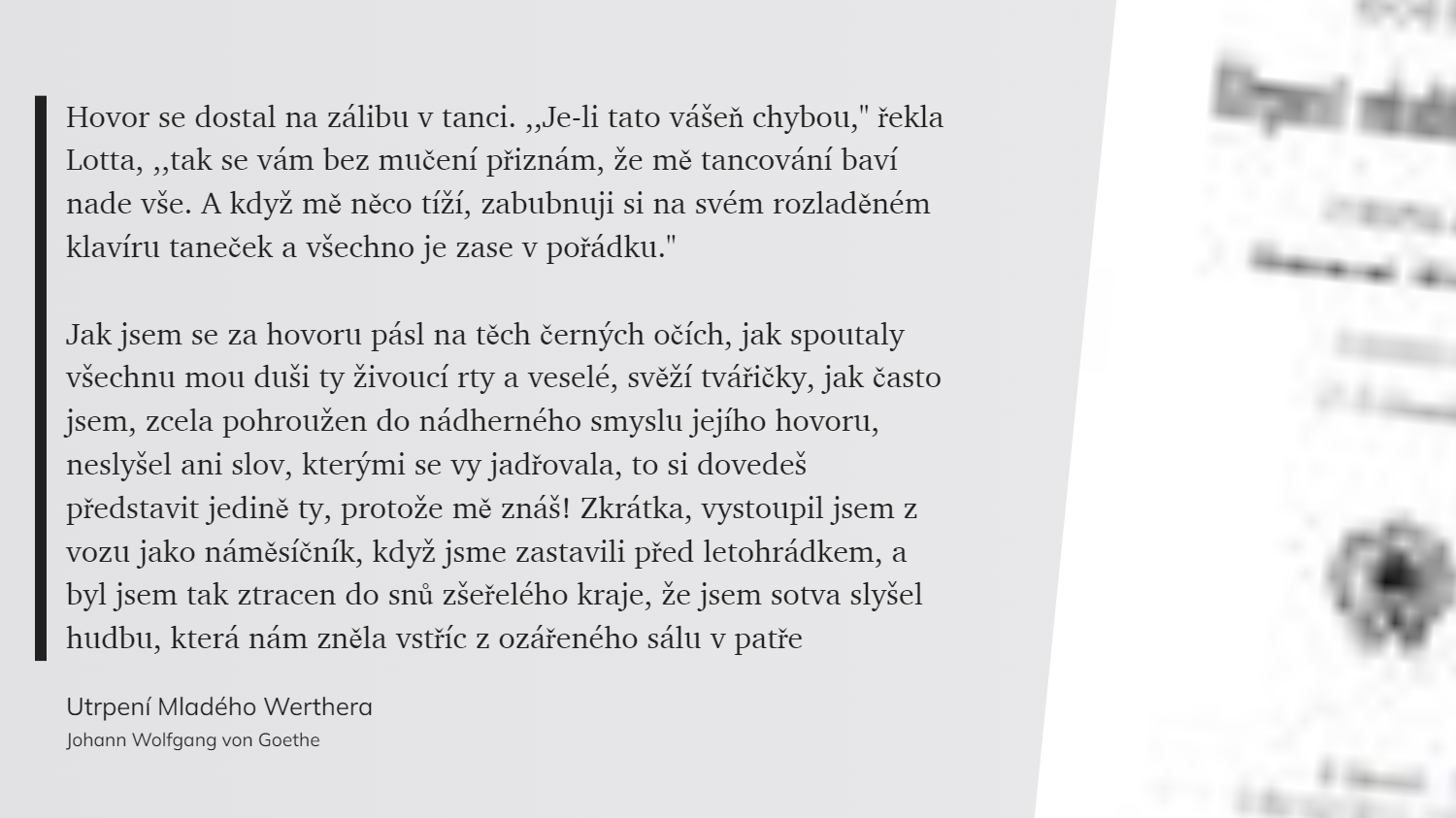 Utrpení Mladého Werthera (7)