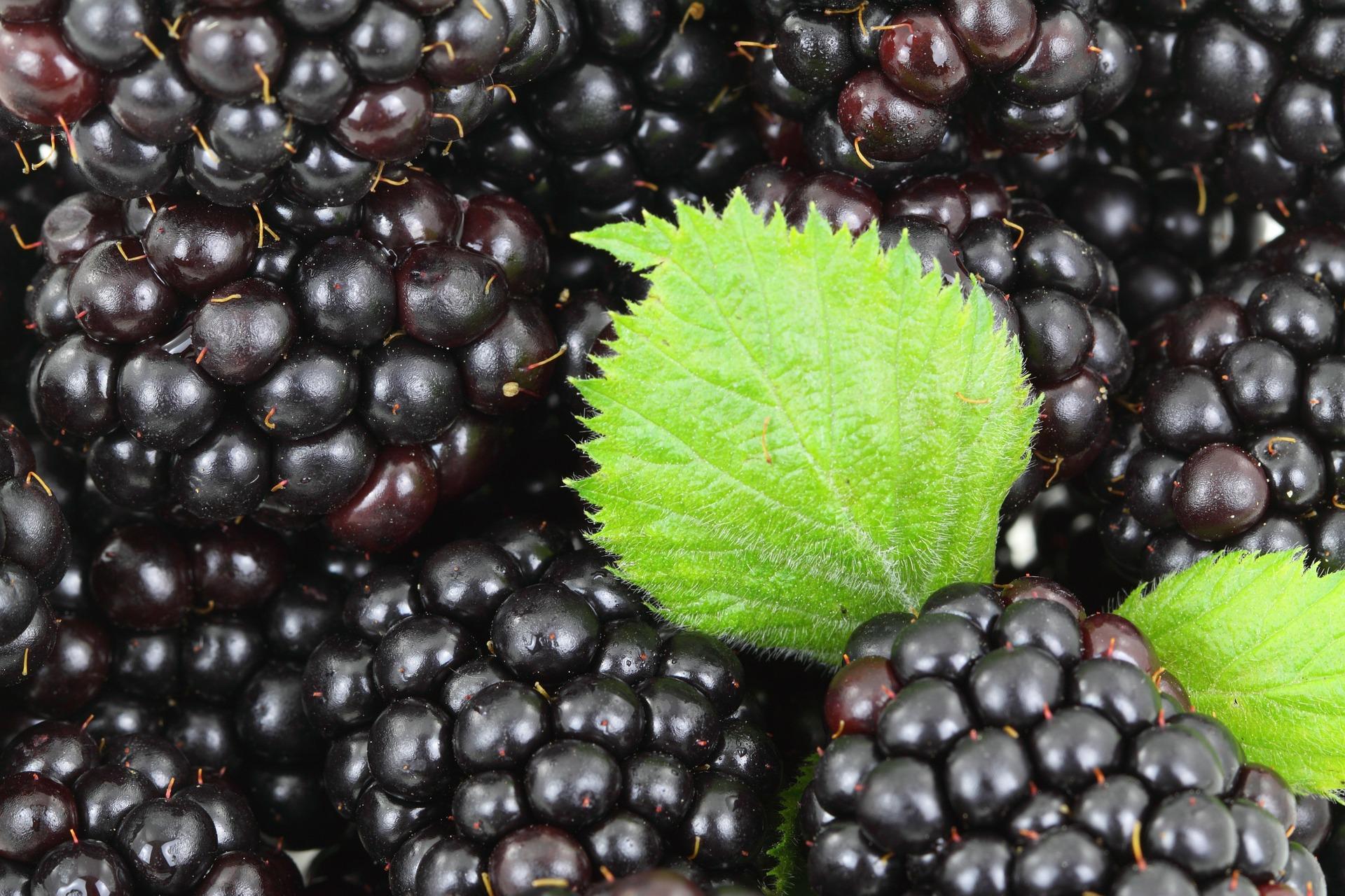 background-2283 1920