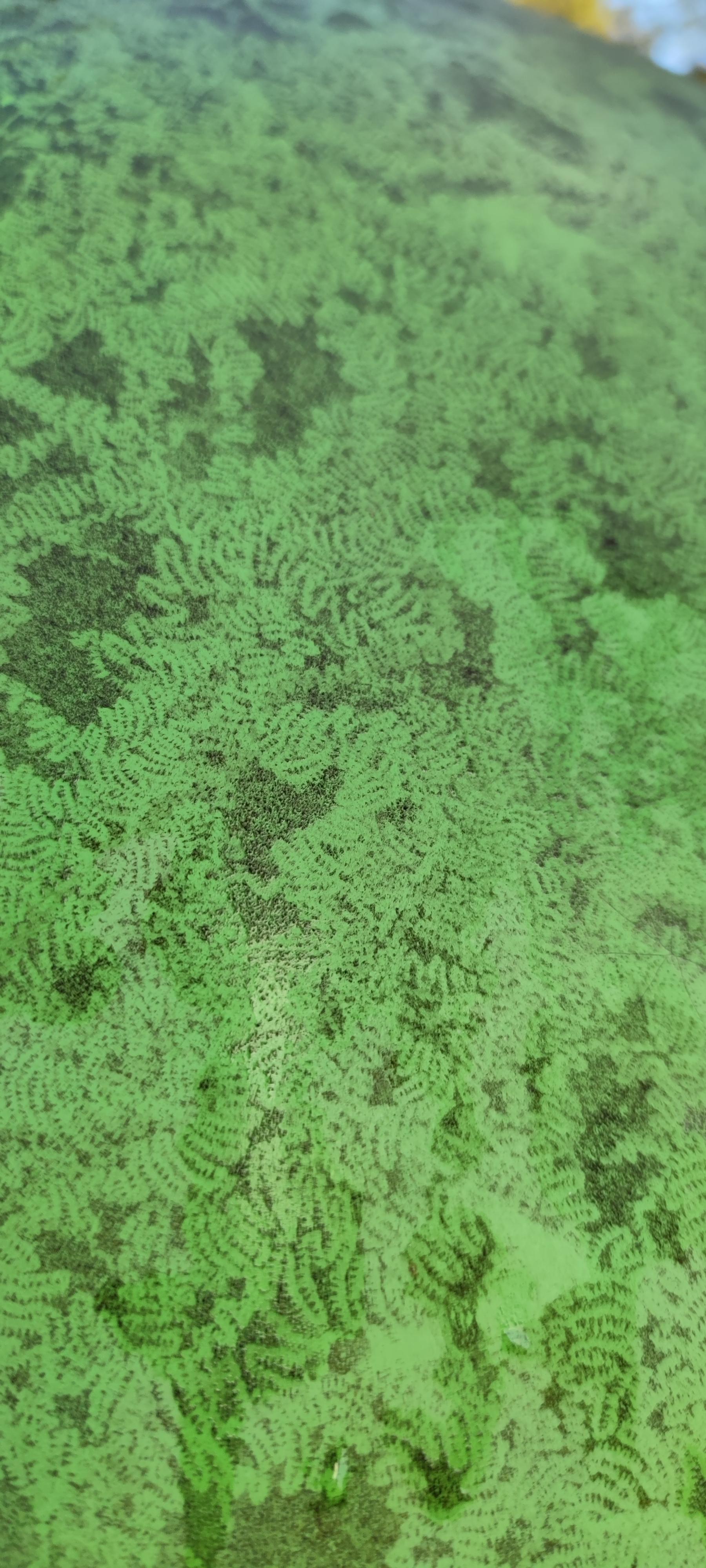 16178103699108458880258744452933