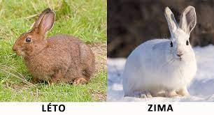 0cb5e4eb-75f2-452e-9af1-a16f29d0ad71