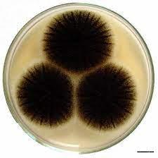 0cbea821-f428-4a5b-bb76-12dd660700cb